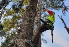 Servicii Alpinism Pitesti Fisker Alpinisti