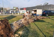 Servicii Alpinism Pitesti Fisker Alpinisti