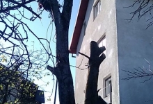 Servicii Alpinism Cluj-Napoca Alpinist Utilitar Cluj Napoca - CARPATHIA ALPIN 