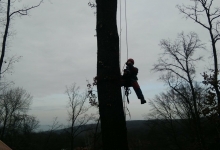 Servicii Alpinism Cluj-Napoca Alpinist Utilitar Cluj Napoca - CARPATHIA ALPIN 
