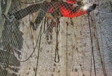 Servicii Alpinism Cluj-Napoca Alpinist Utilitar Cluj Napoca - CARPATHIA ALPIN 