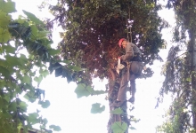 Servicii Alpinism Targu Mures Alpinist Utilitar Targu Mures - CARPATHIA ALPIN 