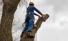 Servicii Alpinism Moinesti Servicii Alpinism Moinesti - REACH SKY ALPIN S.R.L